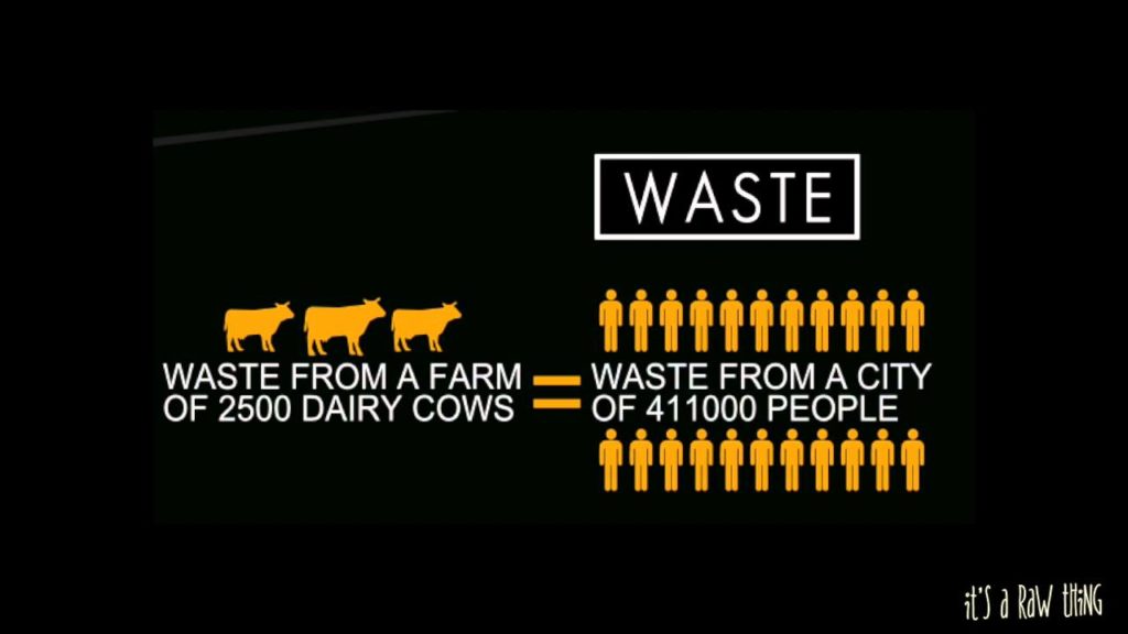 klimaatverandering documentaires - Cowspiracy